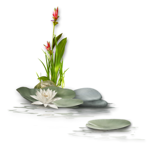 Domaine_Laviaregia-_Location_de_gîte_pour_vos_vacances_-_zen-4 Découvrez nos massages de bien être ou amincissant, réalisés par une professionnelle diplômée, Spa, Piscine, détente & Zénitude dans notre Domaine Domaine Laviaregia Location de gîte pour vos vacances zen 4