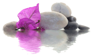 h7mw-6jsv83me0h6x-u3183 Découvrez nos massages de bien être ou amincissant, réalisés par une professionnelle diplômée, Spa, Piscine, détente & Zénitude dans notre Domaine h7mw 6jsv83me0h6x u3183